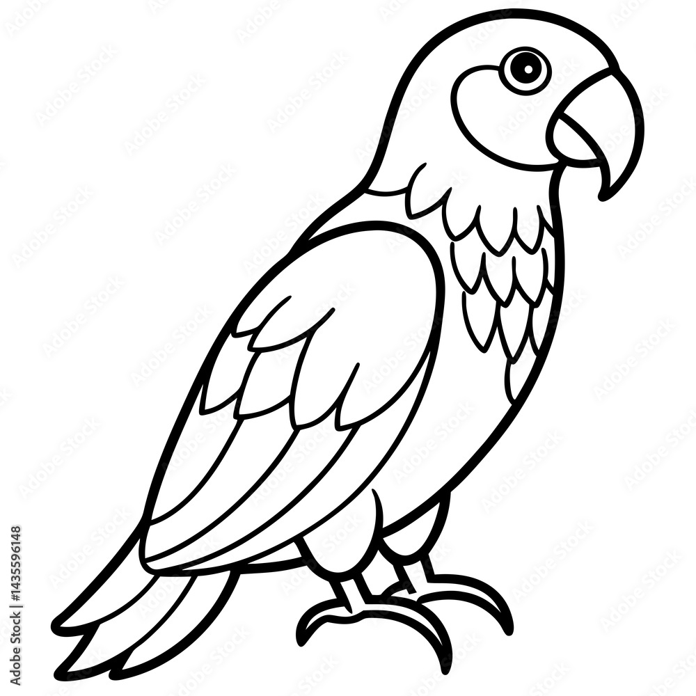Fototapeta premium Parrot vector illustration line art and white background