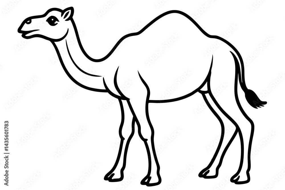 Fototapeta premium Camel vector illustration line art and white background
