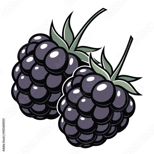 Two blackberries with leaves