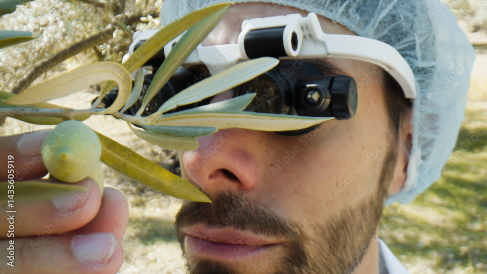 Scientist with special glasses analyzing leaves and olives on a tree