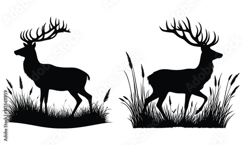 silhouette of deer