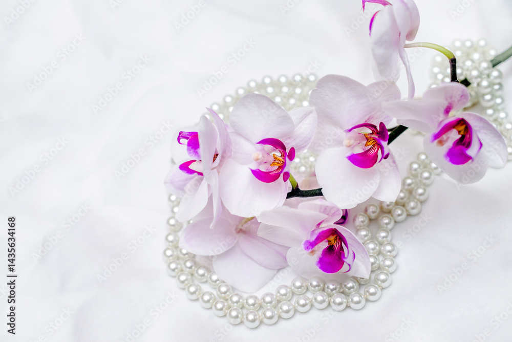 The branch of white orchids on white fabric background
The branch of white orchids on white fabric background