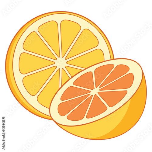 Citrus Fruit Slices