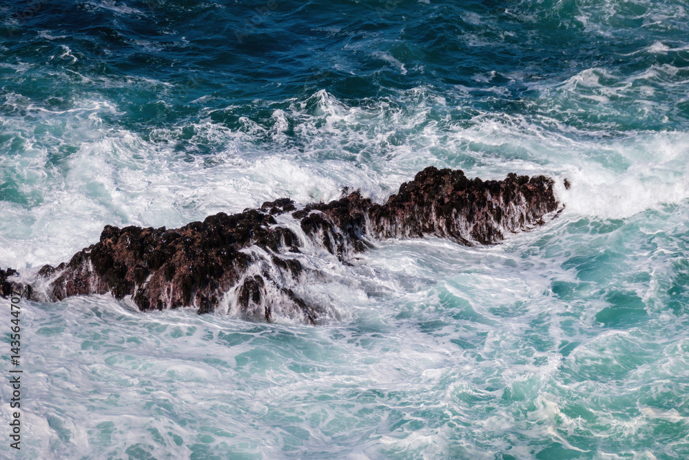 Crashing waves form Pacific Ocean at Point Lobos State Natural Reserve, California, USA