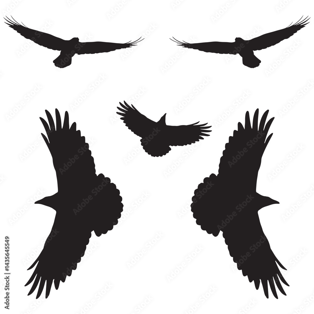 Obraz premium Elegant Bird Vector Collection – Minimalist and Colorful Flying Birds Illustration for Nature Projects .
