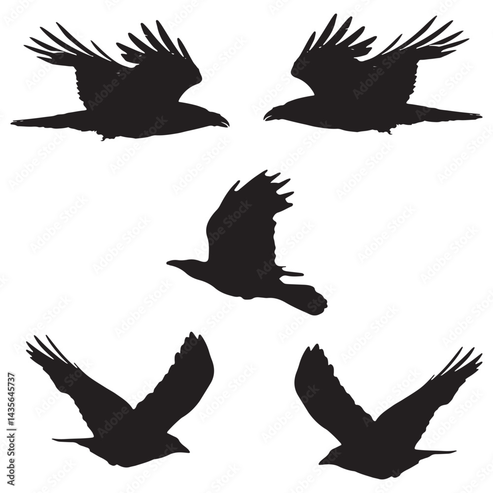 Obraz premium Elegant Bird Vector Collection – Minimalist and Colorful Flying Birds Illustration for Nature Projects .