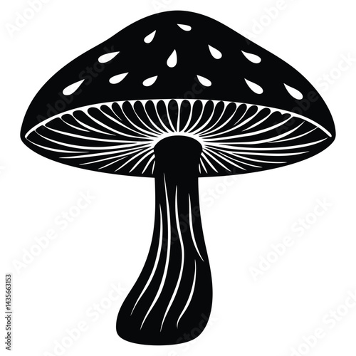  Black silhouette of a mushroom on a white background