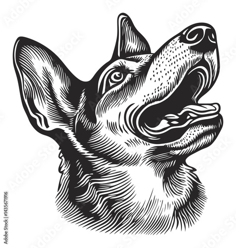 Vintage Woodcut Illustration of a Dog in Detailed Black and White Style
