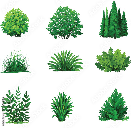 sat of the tree forest victor design with white background.