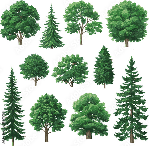 sat of the tree forest victor design with white background.