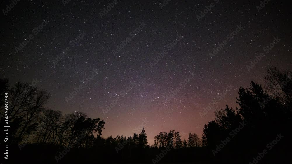 Night sky over forest with small aurora borealis. 4k time lapse. Night sky over forest with small aurora borealis. 4k time lapse.