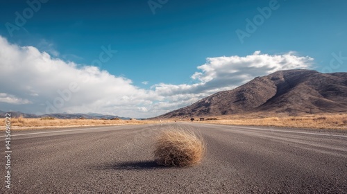 Desolate Pathway Embraced by Tumbleweeds Under a Clear Sky and Floating Clouds