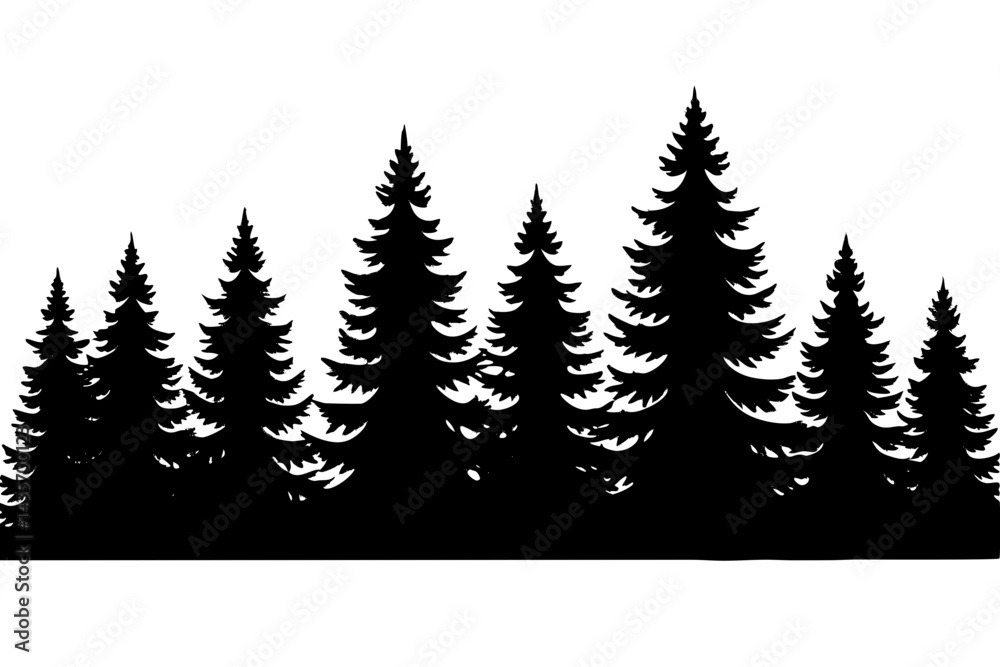 Obraz premium Mystic Evergreen Woods Skyline Dense Spruce Forest