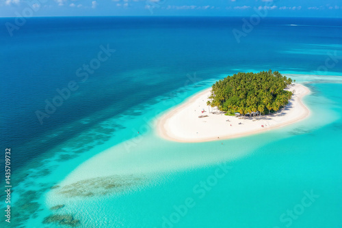 aerial view of a beach with palm trees