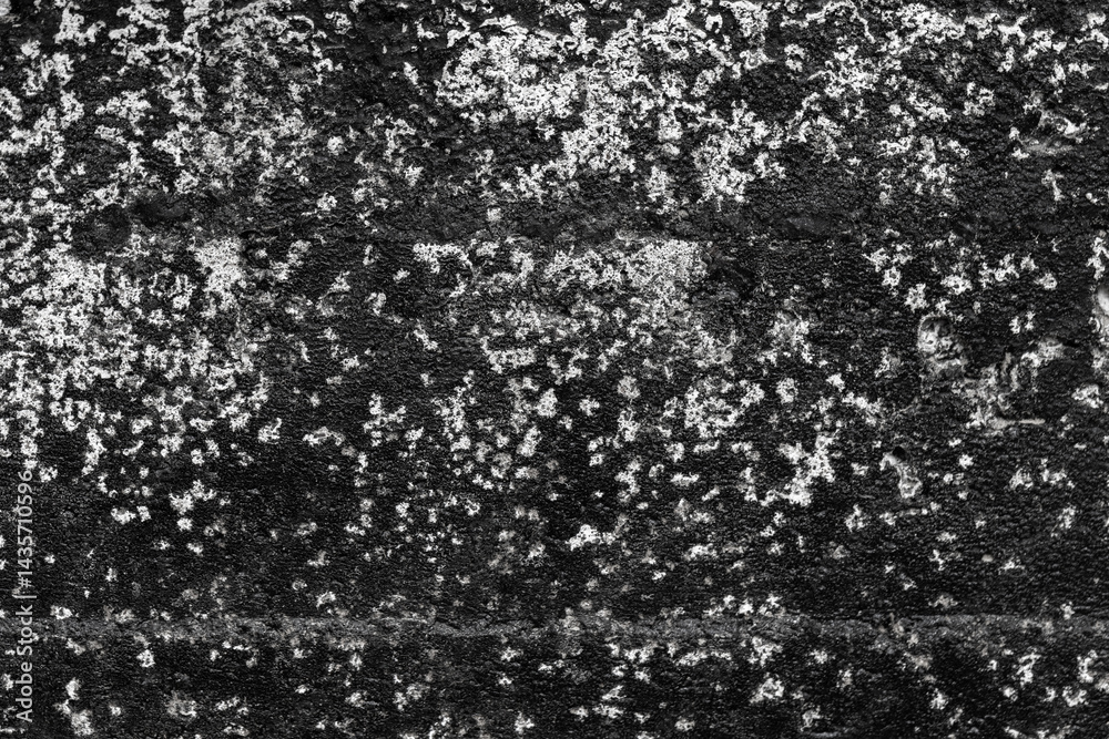Close-up of a high-contrast black and white textured concrete surface