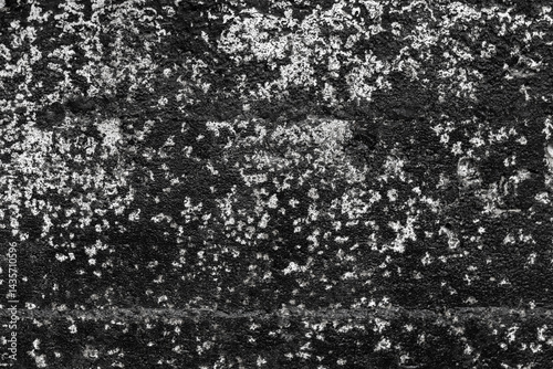 Obraz na płótnie Close-up of a high-contrast black and white textured concrete surface w salonie