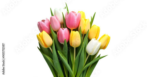 Women's Day celebration concept. Vertical top-view photo featuring an abundance of spring flowers — pink, yellow, and white tulips — beautifully arranged on a light green isolated background, with amp