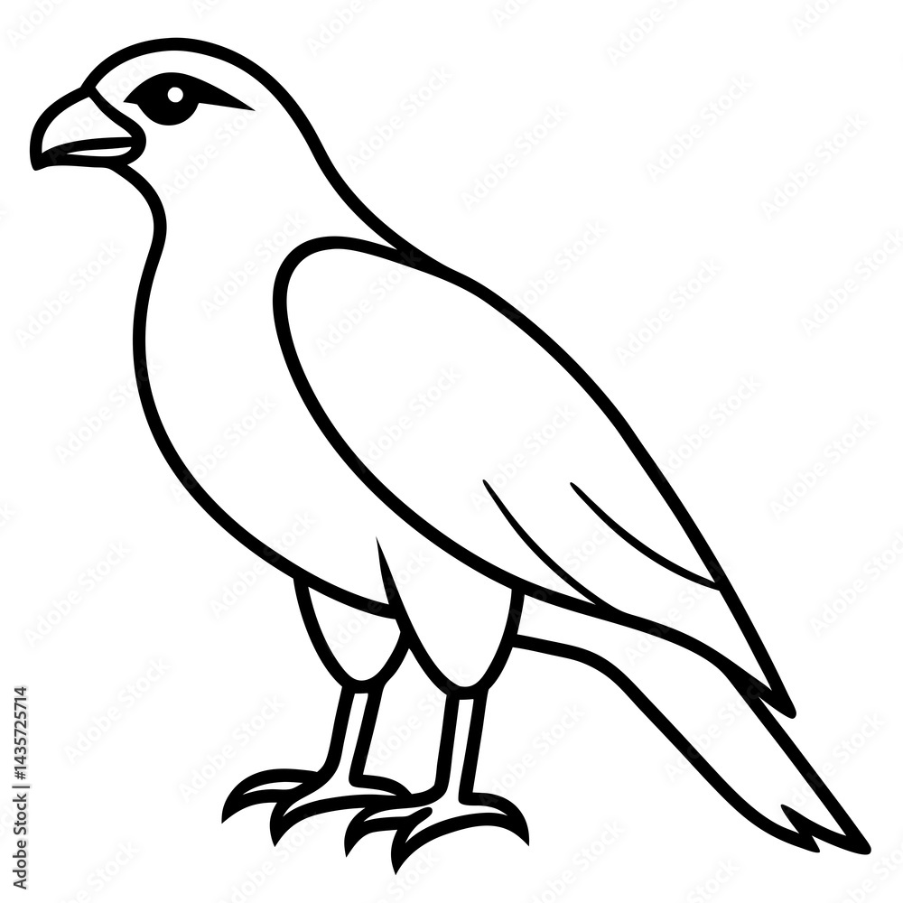 Obraz premium Stylized Hawk Outline Illustration