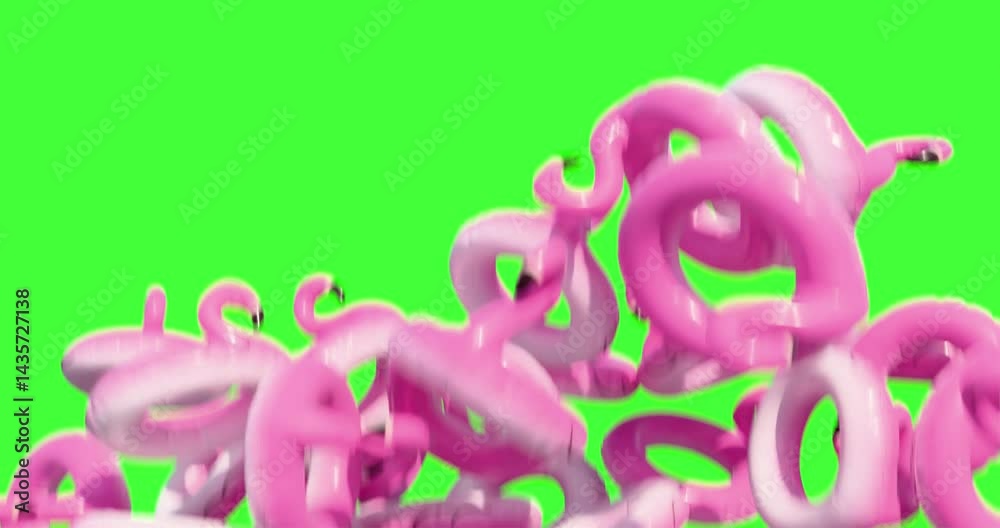 inflatable flamingo rings falling on green screen. Summer transition