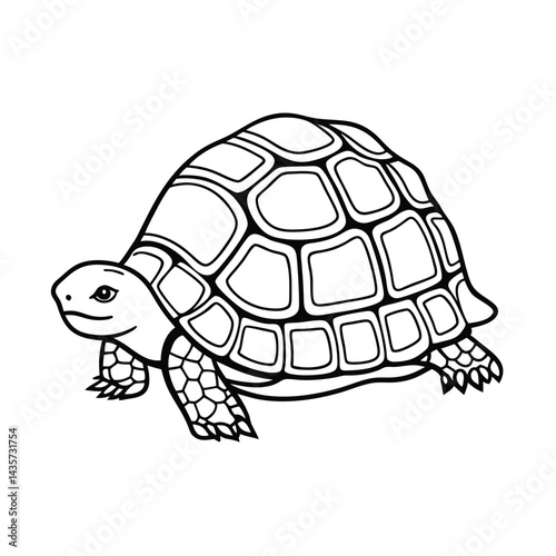 Detailed turtle illustration graphic black and white outline drawing of a reptile simple vector