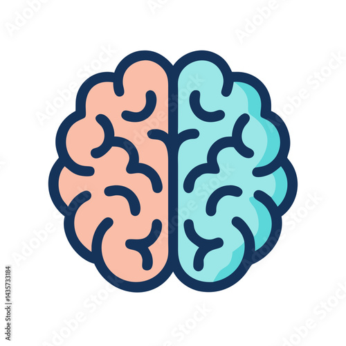 Brain hemispheres graphic illustration with pink and blue colors