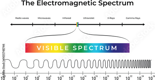 The Electromagnetic Spectrum and Visible Light Design Vector Illustration
