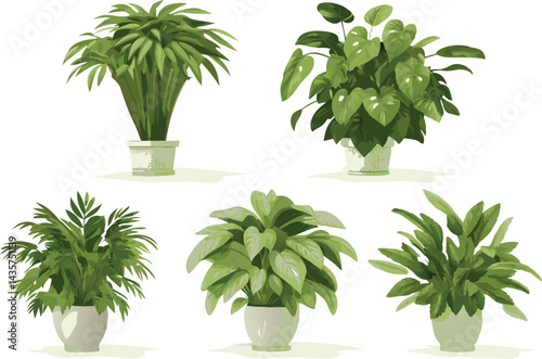 Watercolor botanical illustration of potted indoor plants with green foliage and ceramic pots on a white background for home decor