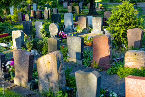 Back of several gravestones in a cemetery. No personal data can be seen.