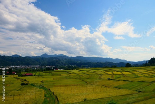Obraz na płótnie くぬぎ平の棚田。朝日、山形、日本。9月中旬。 w salonie
