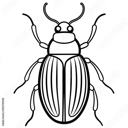 Beetle Sketch Vector