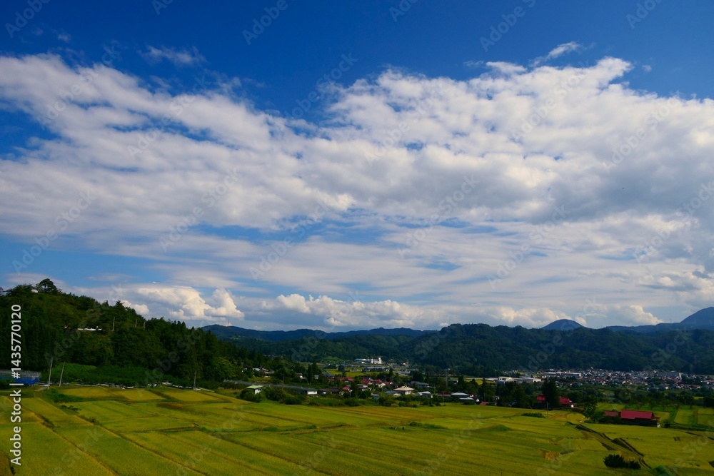 くぬぎ平の棚田。朝日、山形、日本。9月中旬。