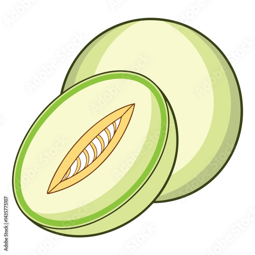 Cantaloupe slice illustration
