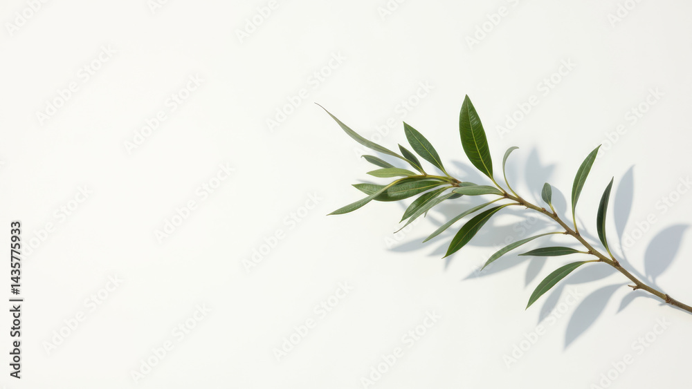 A sprig of rosemary on a white surface, representing the use of fresh herbs in cooking. A sprig of rosemary on a white surface, representing the use of fresh herbs in cooking.