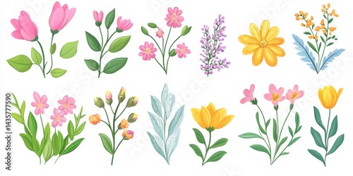 Colorful botanical illustrations of various flowers and plants.