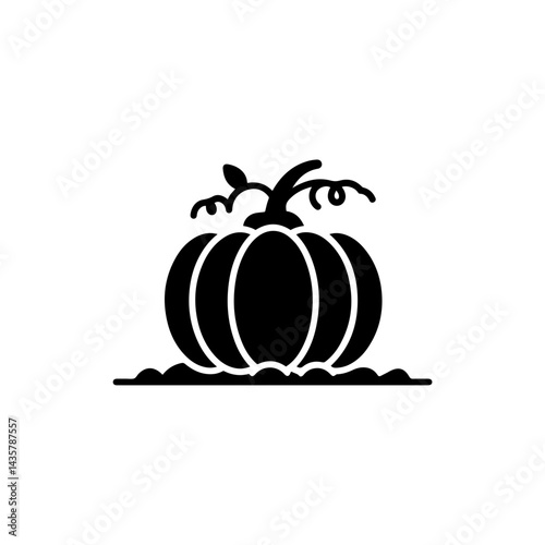 Plump Pumpkin Growing on a Vine in Soft Earth of the Farm