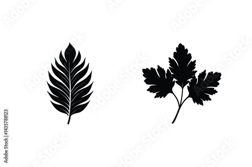 Isolated Black And White Parsley And Leaf Silhouettes On A Clean Background