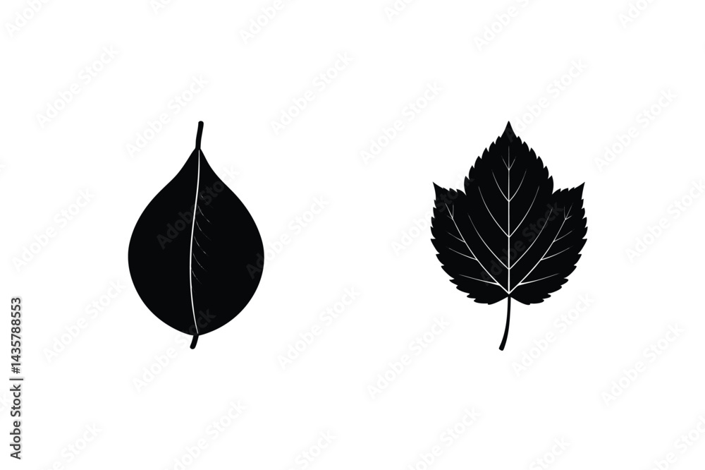 Fototapeta premium Two Abstract Leaf Silhouettes Black And White Botanical Illustration On White Background