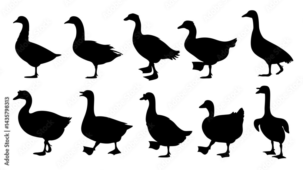 Obraz premium set of duck silhouette vector on tranparent background