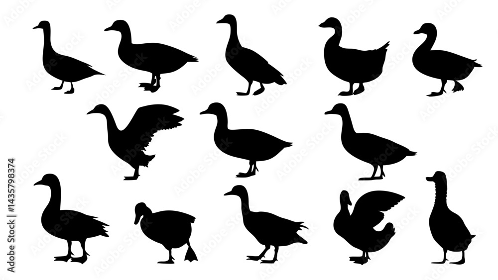 Fototapeta premium set of duck silhouette vector on tranparent background