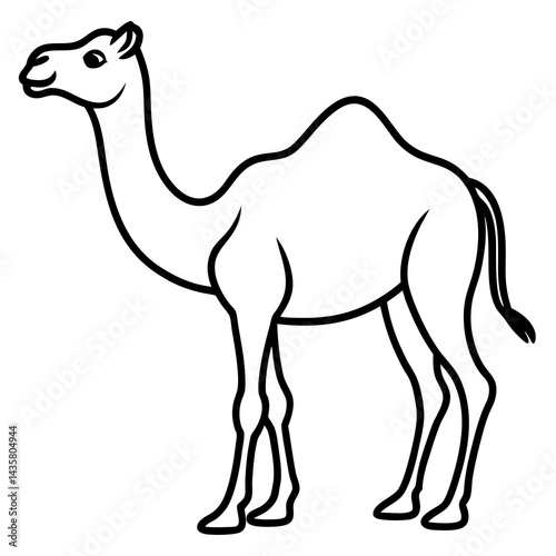 Desert Camel Outline