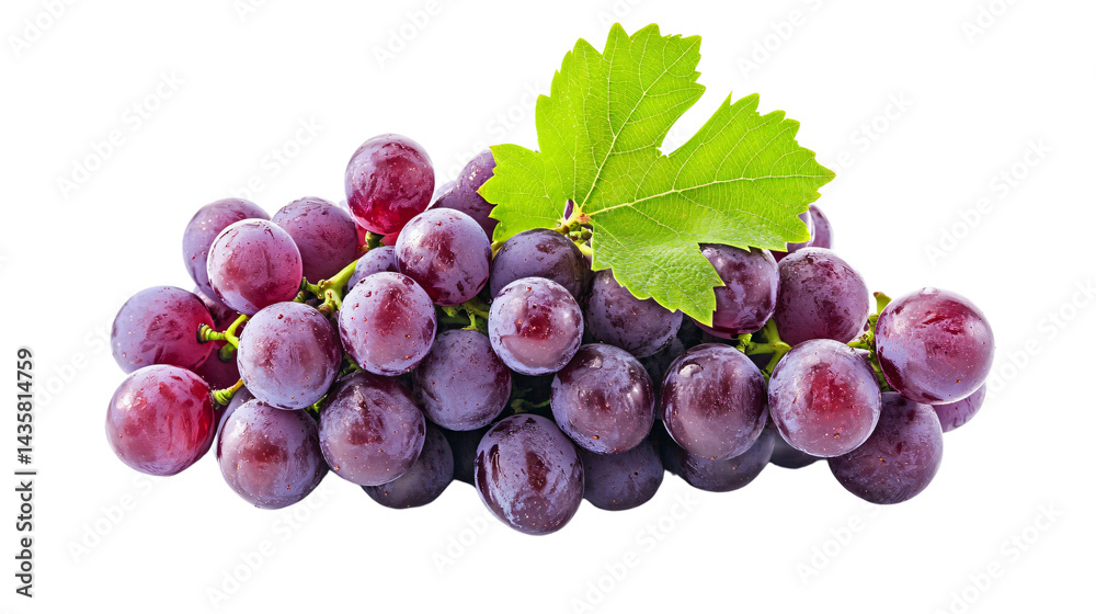 Fototapeta premium Vibrant Ripe Juicy Purple Grape Cluster Isolated on White Background