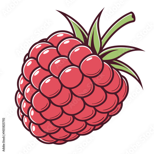 Vibrant Raspberry Illustration
