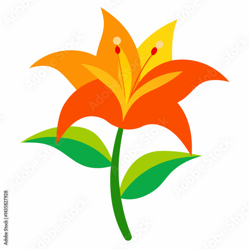 orange lily flower on white background