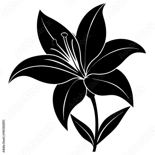 black and white lily silhoutte tulip flower silhoutte on white background