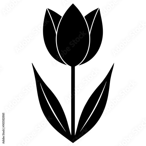 tulip flower silhoutte on white background