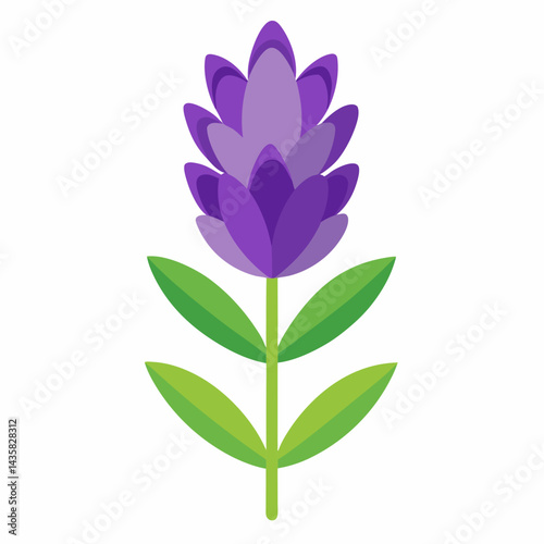 purple flower isolated on white background