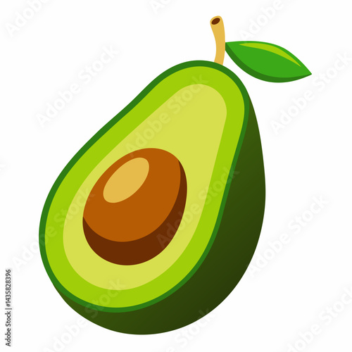 avocoda vector illustration on white background