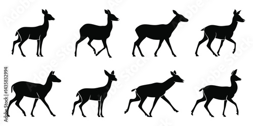 Please Read Image Carefully and Choose highly related and highly ranking keywords and make seo friendly Title having all details of image visuals for adobe stocks containing Those highly ranked keywor