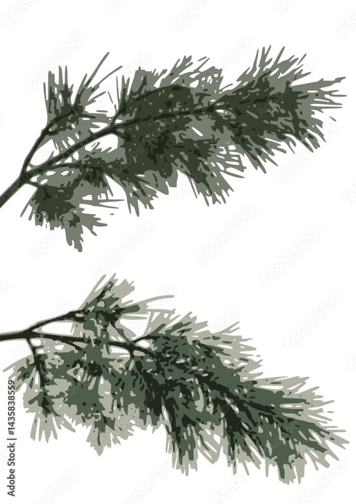 Fototapeta premium Vector Pine Branches for Winter Decor. Christmas tree branches. Minimal Holiday Seasonal Projects