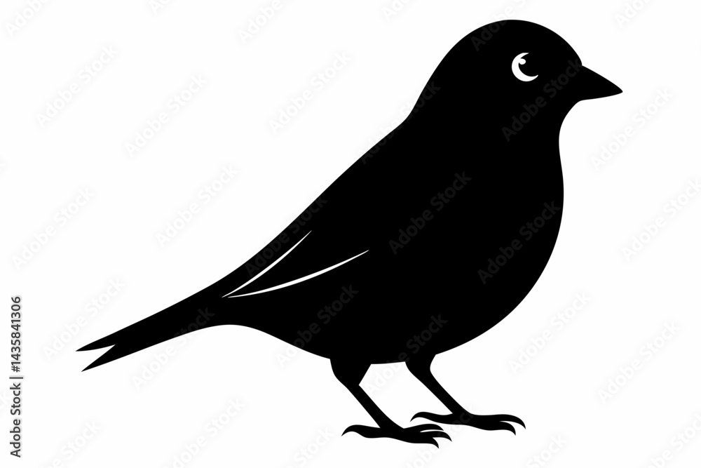 Obraz premium canary sihouette black vector